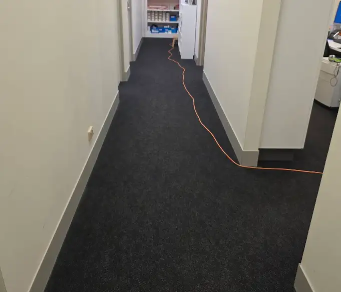 Carpeted hallway